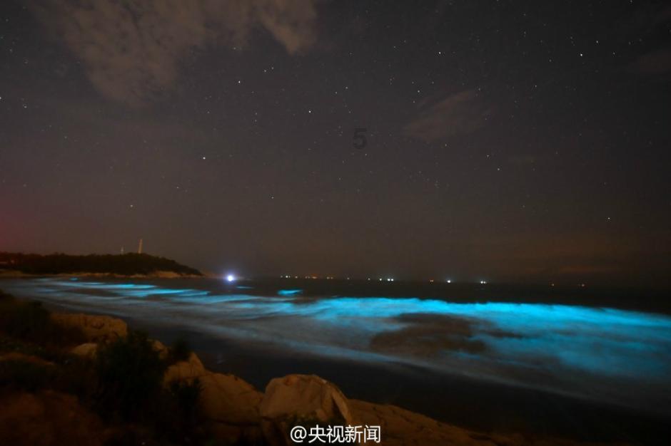 逗小猴开心系列179