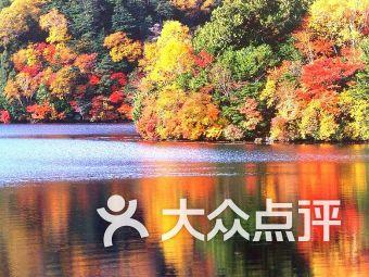 小猫钓鱼游戏龙王版有船