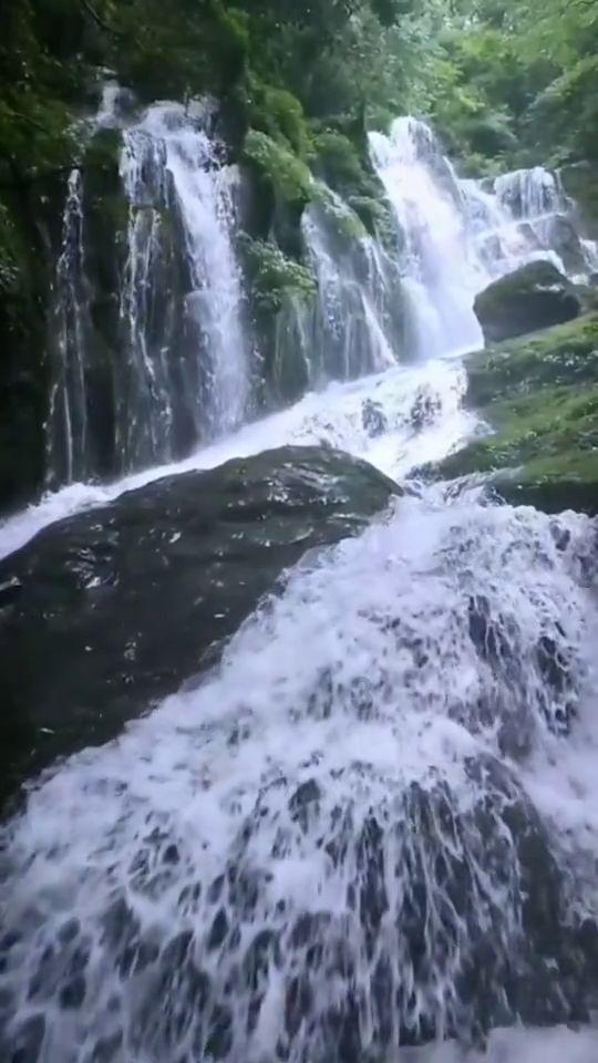 动物记忆大翻牌